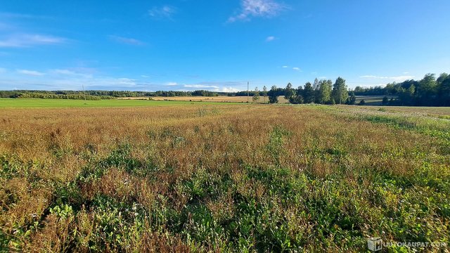 Raaseporintie 24
