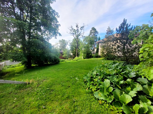 Kiviahontie 29