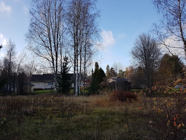 Kokkomäentie 8