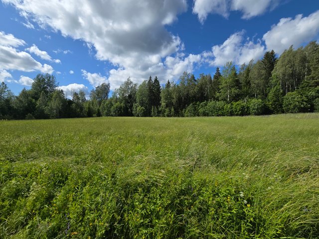Grönkullantie 94