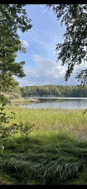 Lövnäsintie 113