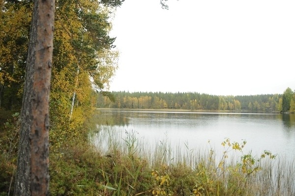 Kouvoonholmantie 16
