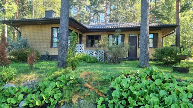 Mäntytie 38