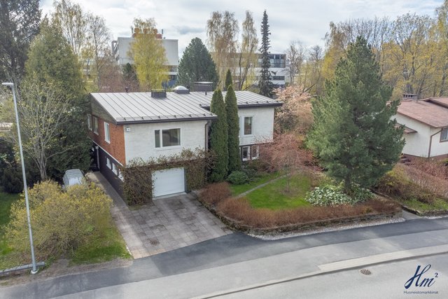 Tammispaltantie 41