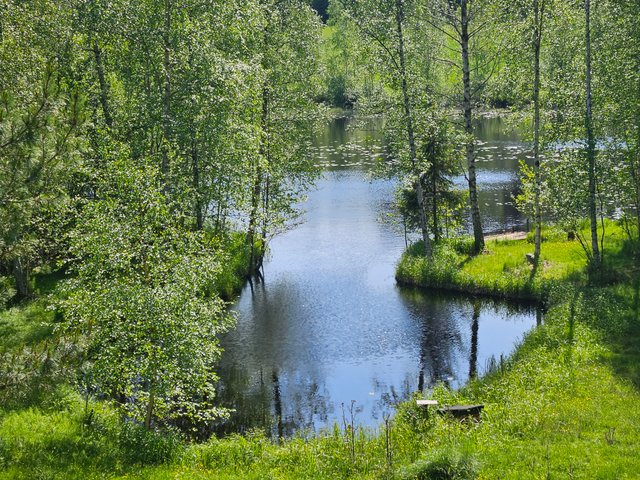 Suontie 58