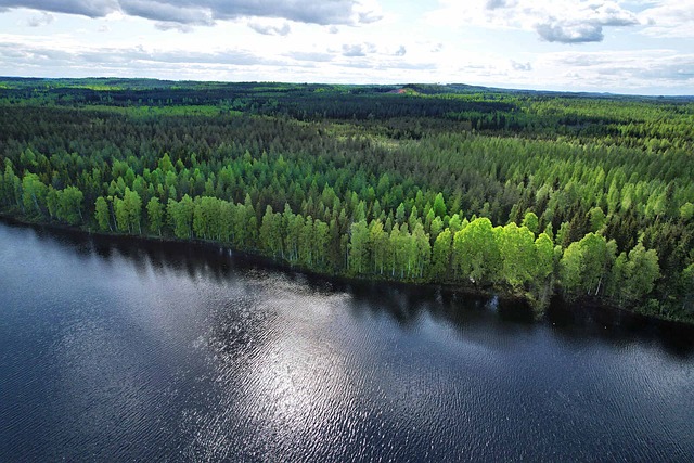 Lapinjärventie