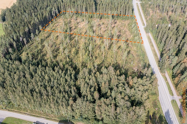 Vähäkankaantie