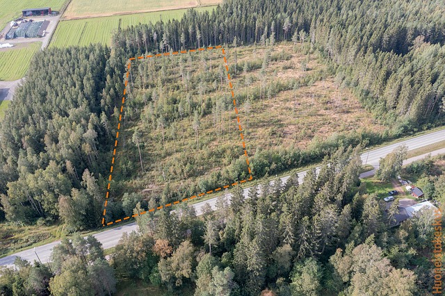 Vähäkankaantie