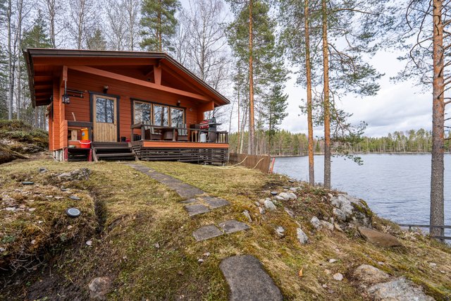 Lammassaari Litmaniemi