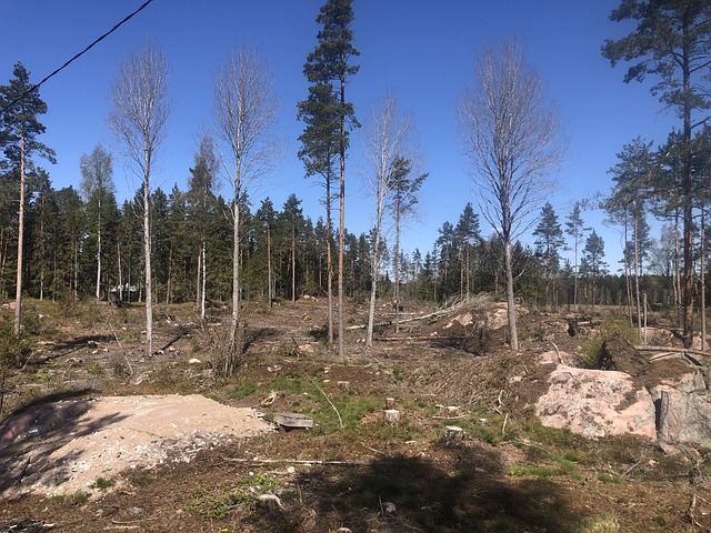 Mossabackantie 33