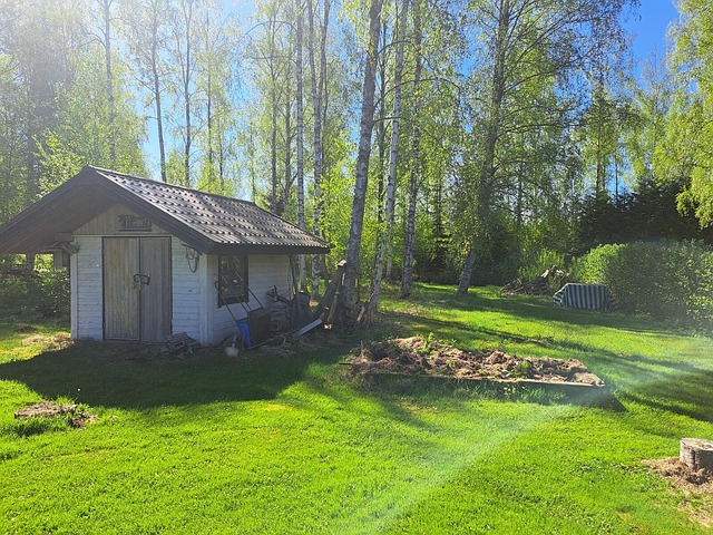 Nikkilän koivukuja