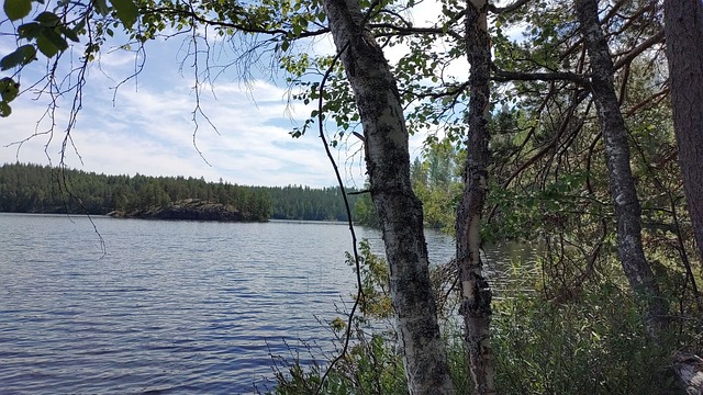 Hoilonmäki