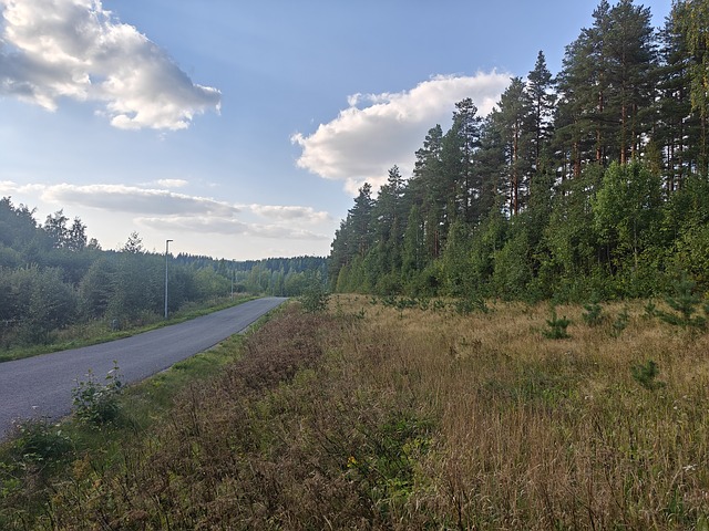 Ravinkankaantie