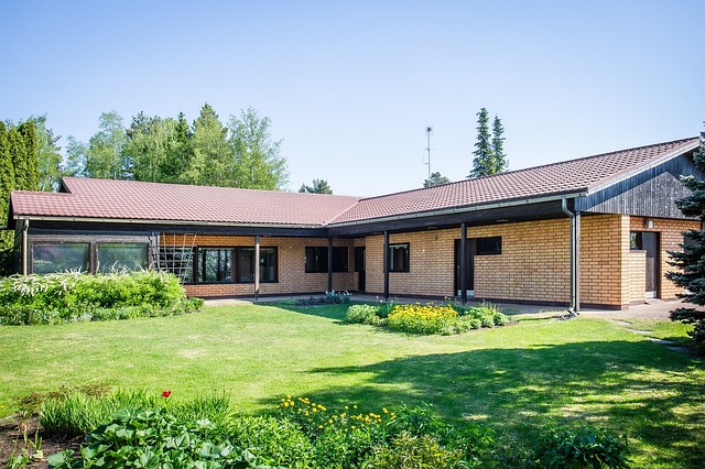 Kiekukuja 3