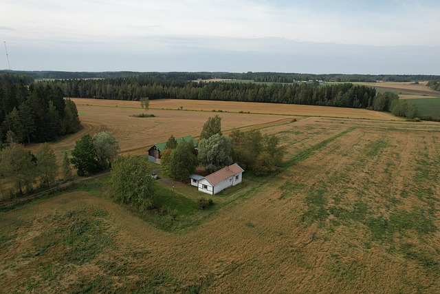 Laitiaistentie 380