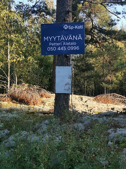 Susisuontie 37