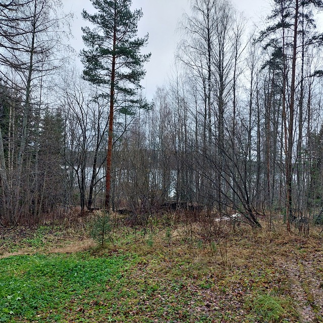Etu-Kanavuorentie 167