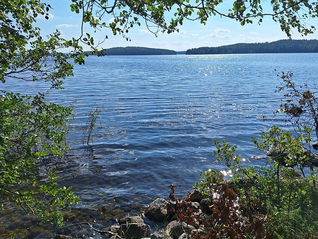 Mustanlahdentie/Mustanlahdenkärki Kaava-alue tontti 1/1