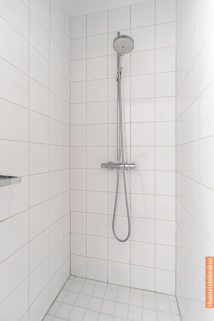 Fredrikinkatu 20, Helsinki (Punavuori), Kuva 9, esikatselu