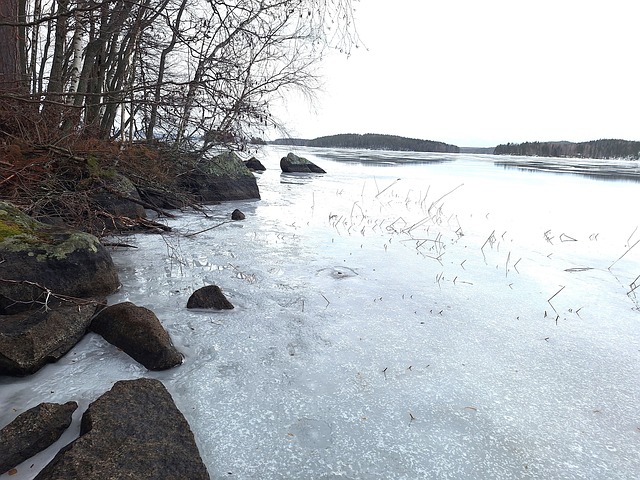 Mustanlahdentie/Mustanlahdenkärki Kaava-alue tontti 1/3