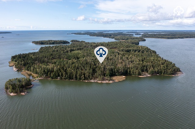 Svinö