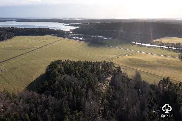 Pikkalan kartano