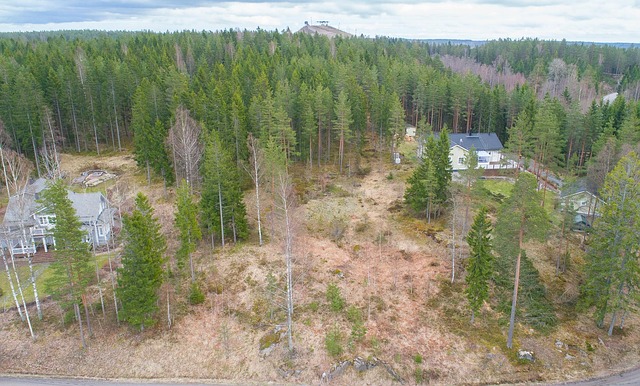 Skogängintie 11
