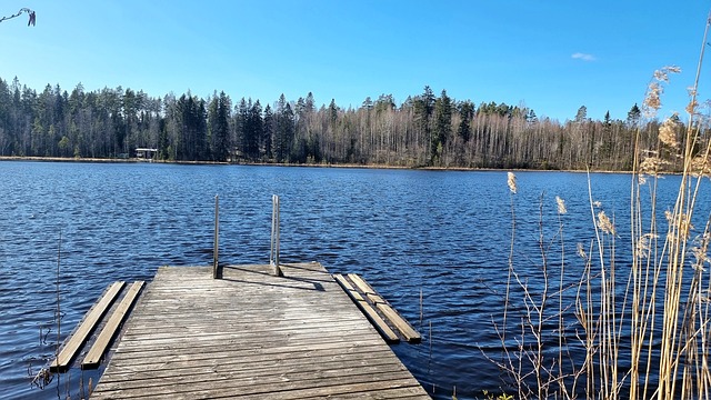 Lammintie 62