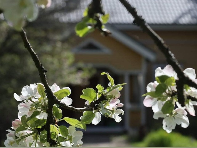 HILJAINEN MYYNTI