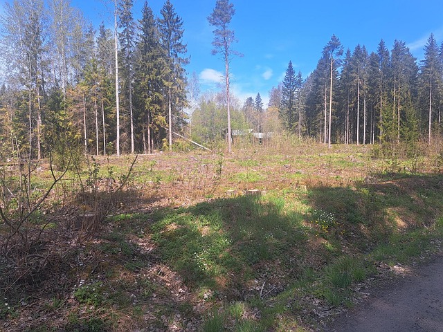 Pohjoinen Boxintie 58