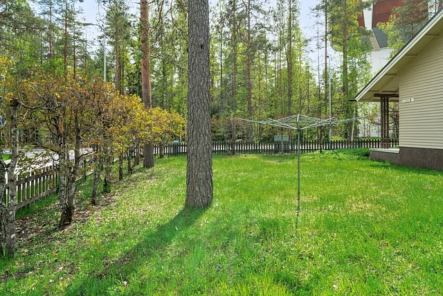 Kuningasvuorenkatu 24