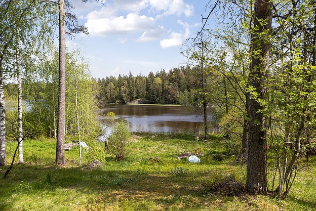 Haapaniementie 73