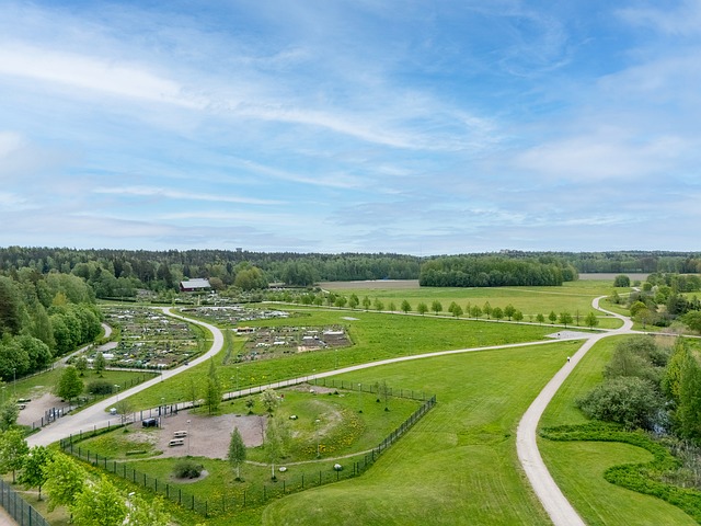 Limnologinraitti 4, Helsinki (Viikki), Kuva 19, esikatselu