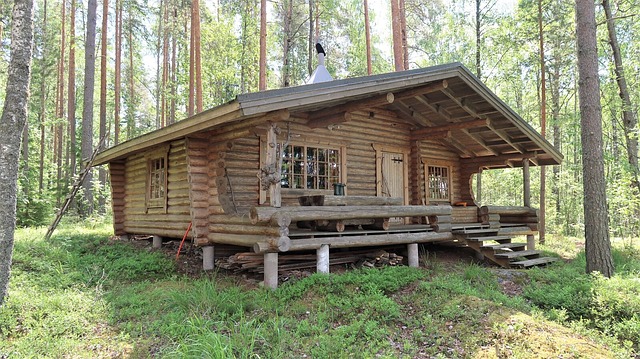 Parkkosentie, Laarisaari