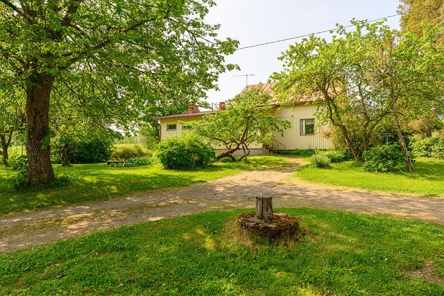 Kuninkaanmaantie 29, Karkkila (Haapala), Kuva 1, esikatselu