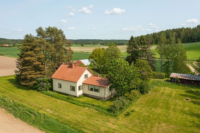 Kuninkaanmaantie 29, Karkkila (Haapala), Kuva 13, esikatselu