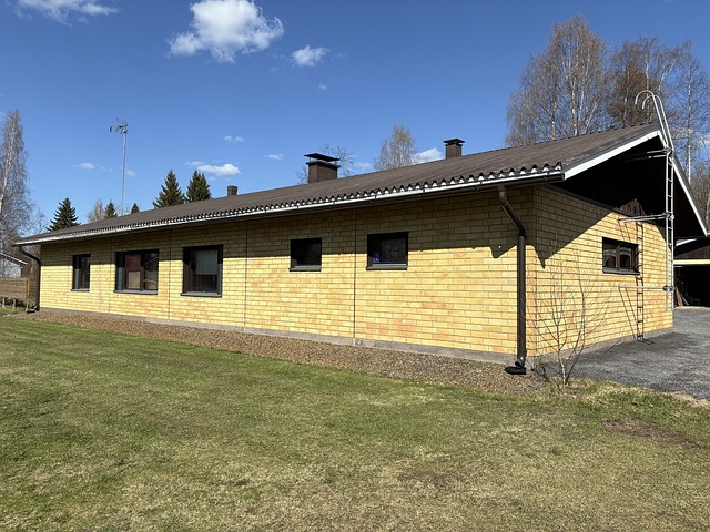 Lippitie 2