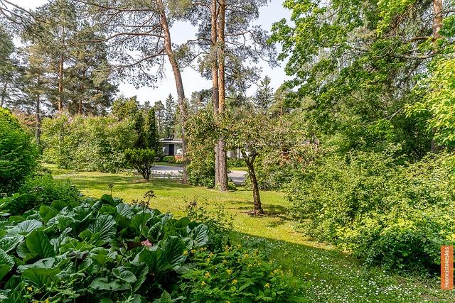 Rykmentintie 45 as