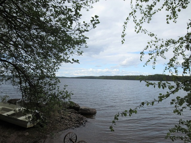 Selkärannantie 42
