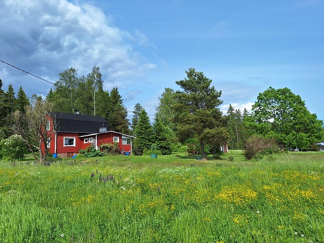 Pohjoinen Boxintie 79