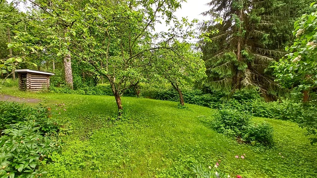Uurtamonpolku 4a