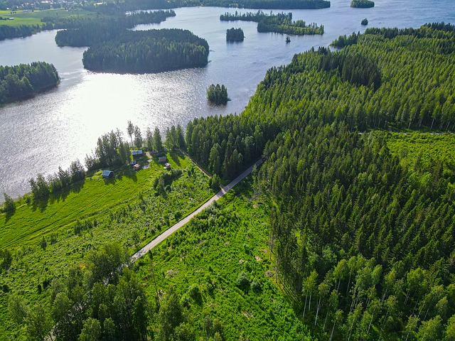 Pentinlahdentie 39