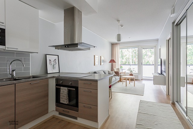 Lintuviidankatu 1 a B