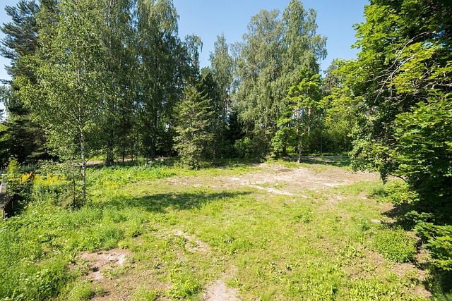 Vehkojantie 16