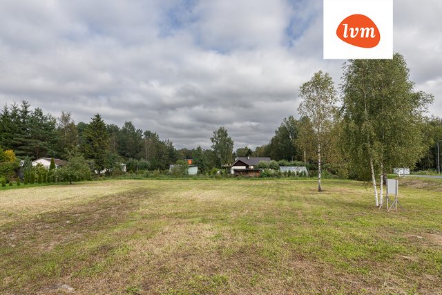 Papli tänav 19