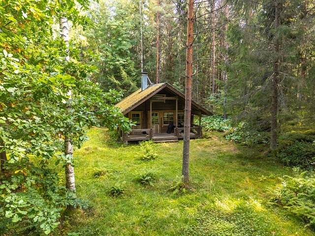Hallankulmantie 160