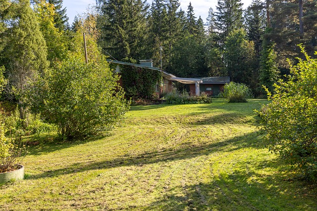 Hiidenniementie 43