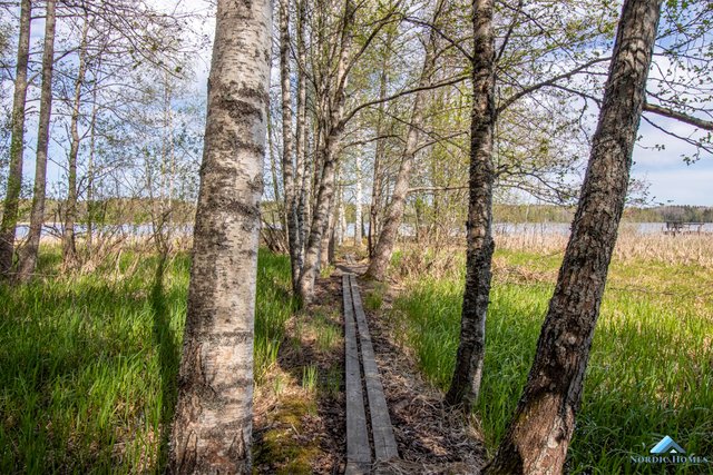 Niittysaari