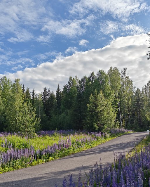 Hildankuja