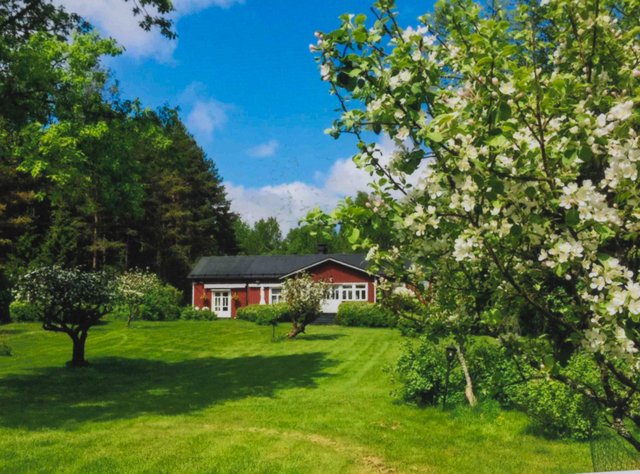 Båsa